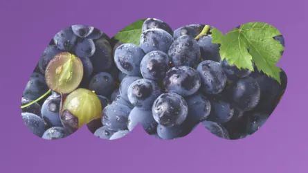 GRAPE のフレーバーイメージ