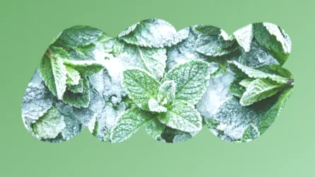 MINT ICE のフレーバーイメージ