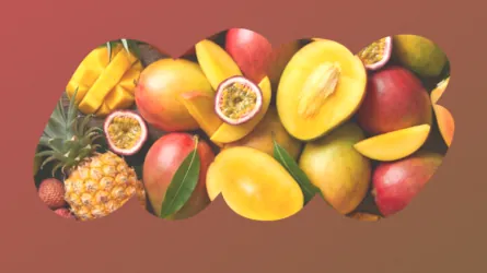 TROPICAL FRUIT のフレーバーイメージ