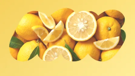YUZU のフレーバーイメージ