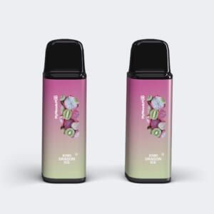 （ニコチン3%）KIWI DRAGON ICE POD