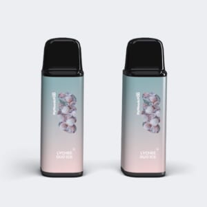 （ニコチン3%）LYCHEE DUO ICE POD