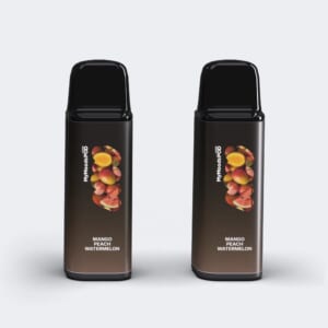 （ニコチン5%）MANGO PEACH WATERMELON POD