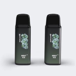 （ニコチン5%）MINT ICE POD
